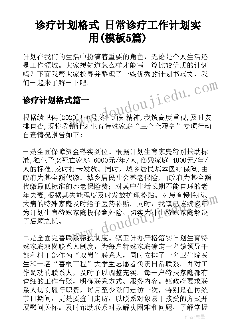 诊疗计划格式 日常诊疗工作计划实用(模板5篇)