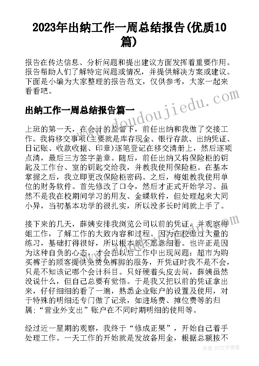 2023年出纳工作一周总结报告(优质10篇)