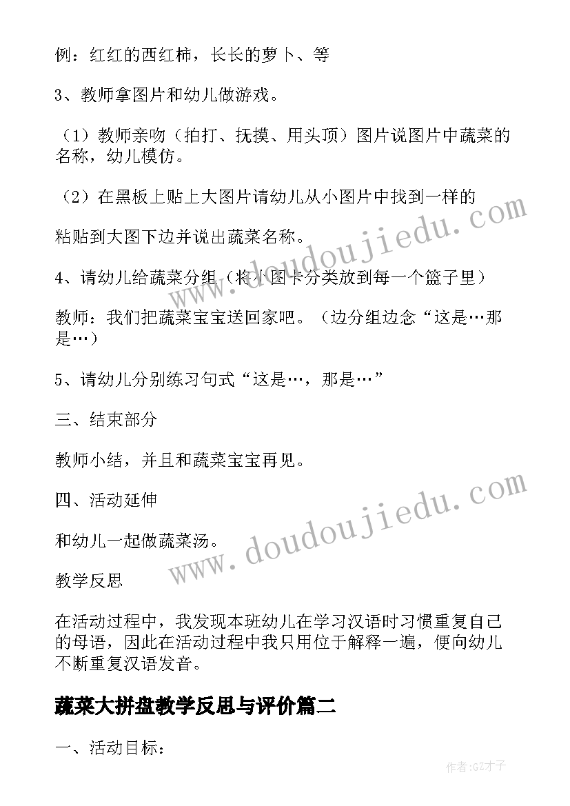 2023年蔬菜大拼盘教学反思与评价(实用5篇)