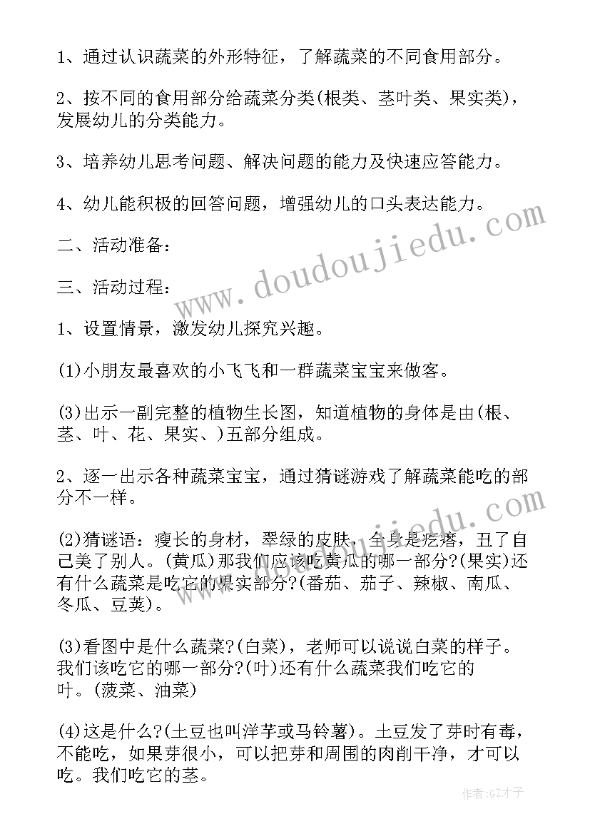 2023年蔬菜大拼盘教学反思与评价(实用5篇)