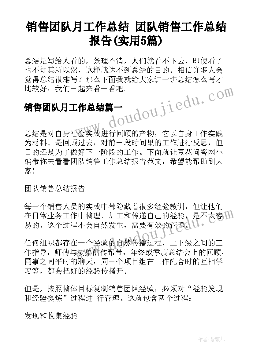 销售团队月工作总结 团队销售工作总结报告(实用5篇)