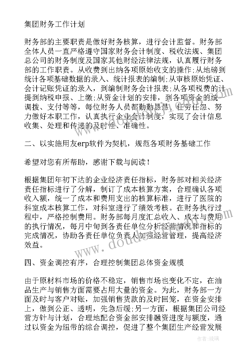 2023年集团财务出纳员工作计划 集团财务工作计划(汇总5篇)