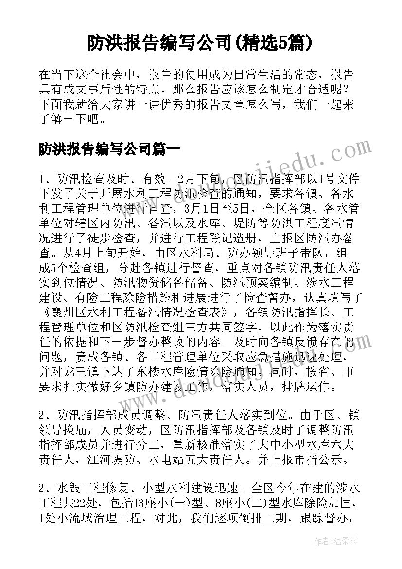 防洪报告编写公司(精选5篇)