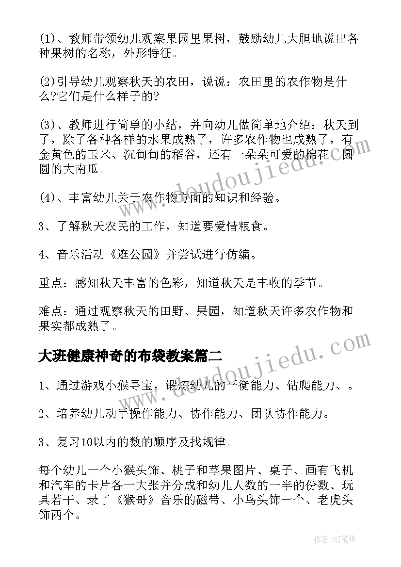 最新大班健康神奇的布袋教案 大班科学教育活动方案(汇总8篇)