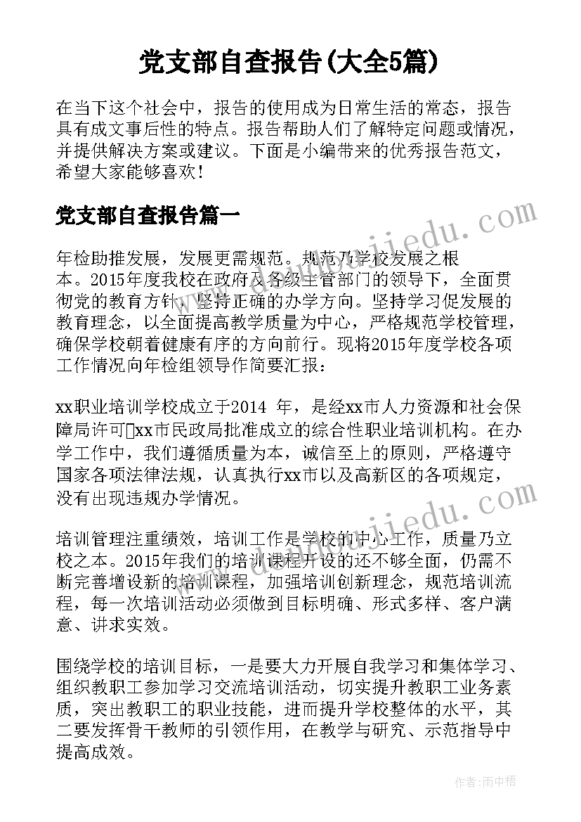 党支部自查报告(大全5篇)