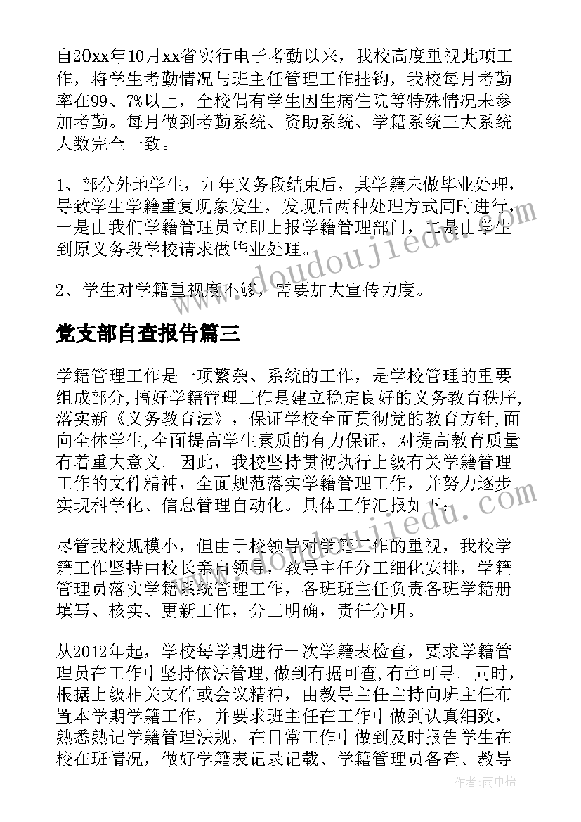 党支部自查报告(大全5篇)