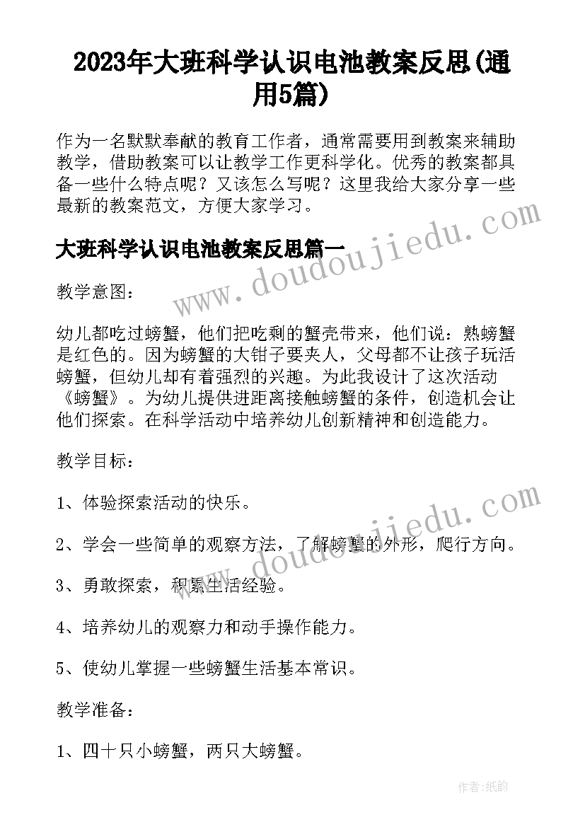 2023年大班科学认识电池教案反思(通用5篇)