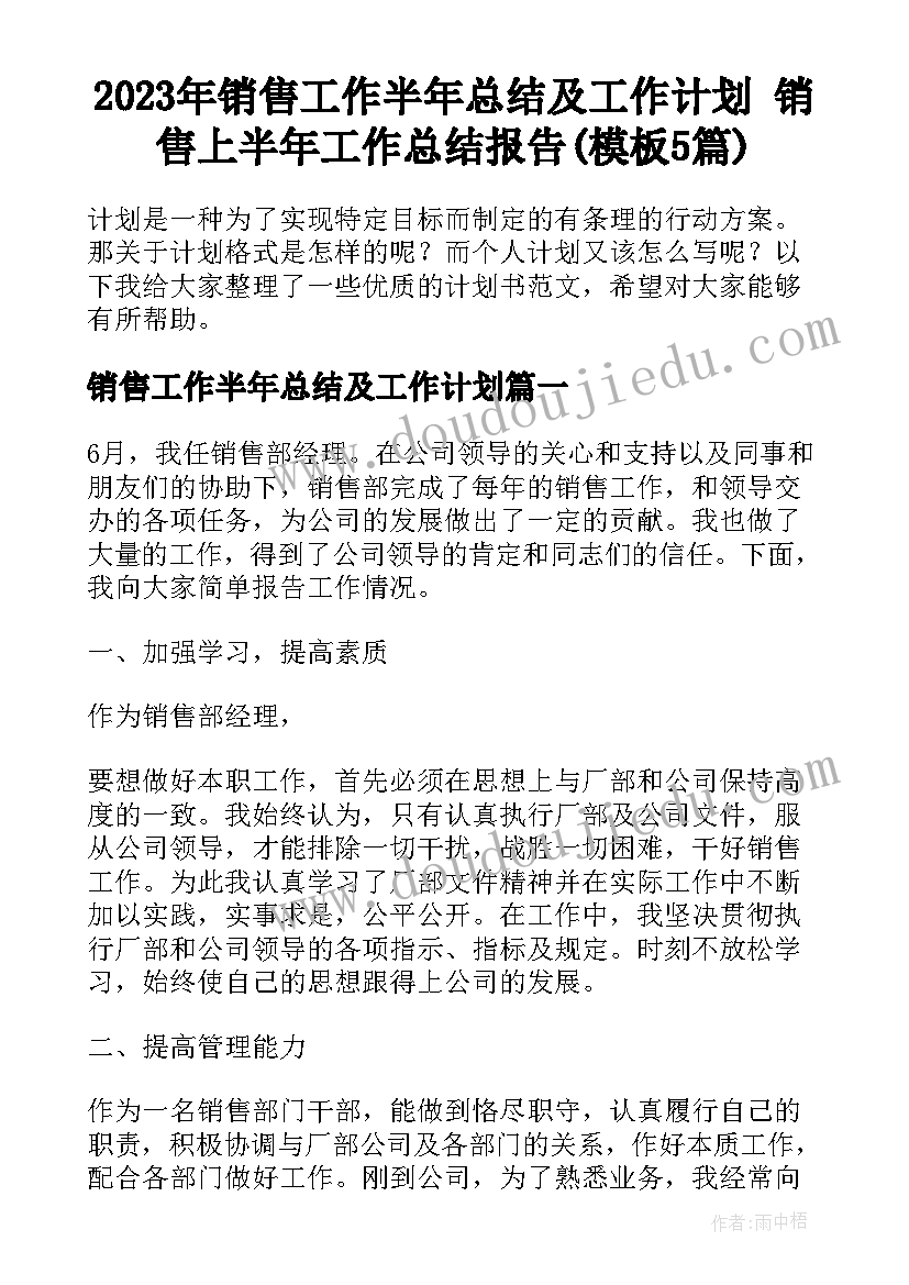 2023年销售工作半年总结及工作计划 销售上半年工作总结报告(模板5篇)