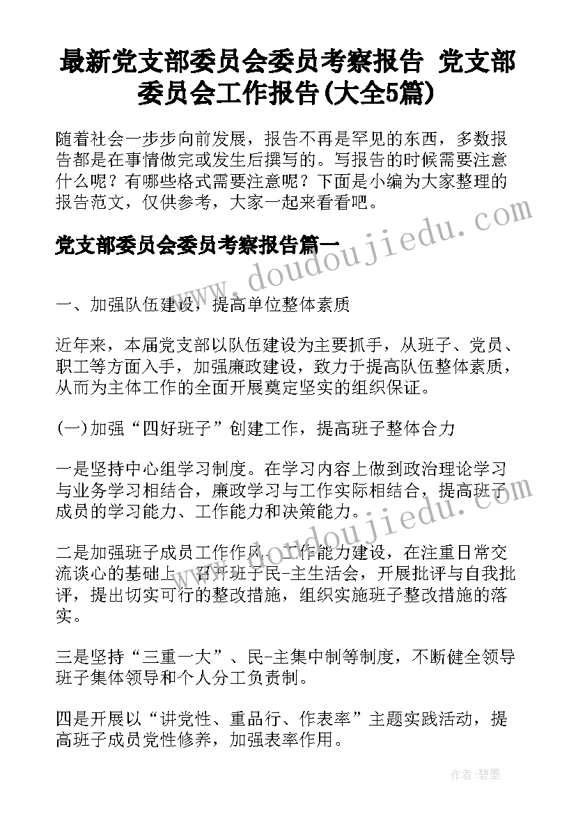 最新党支部委员会委员考察报告 党支部委员会工作报告(大全5篇)