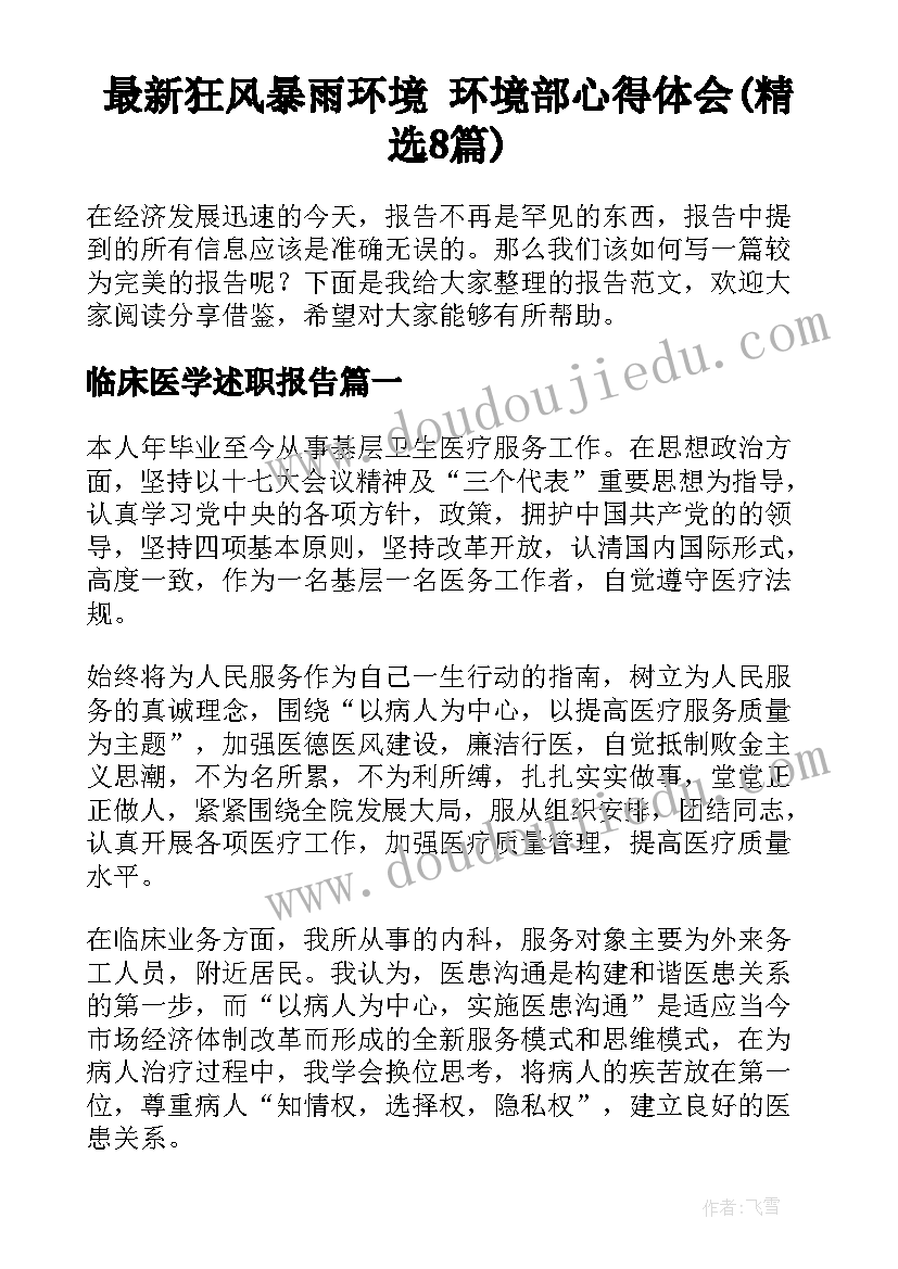 最新狂风暴雨环境 环境部心得体会(精选8篇)