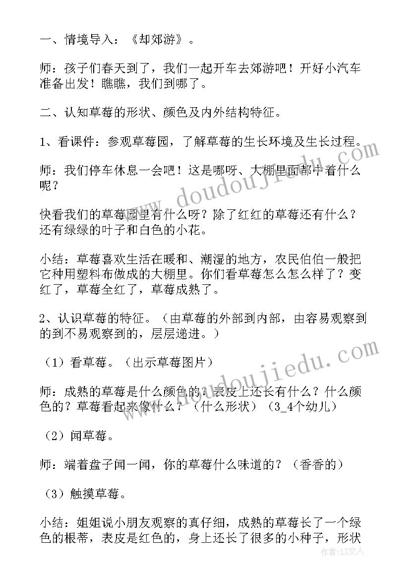 2023年幼儿园采摘 幼儿园采摘活动方案(实用5篇)