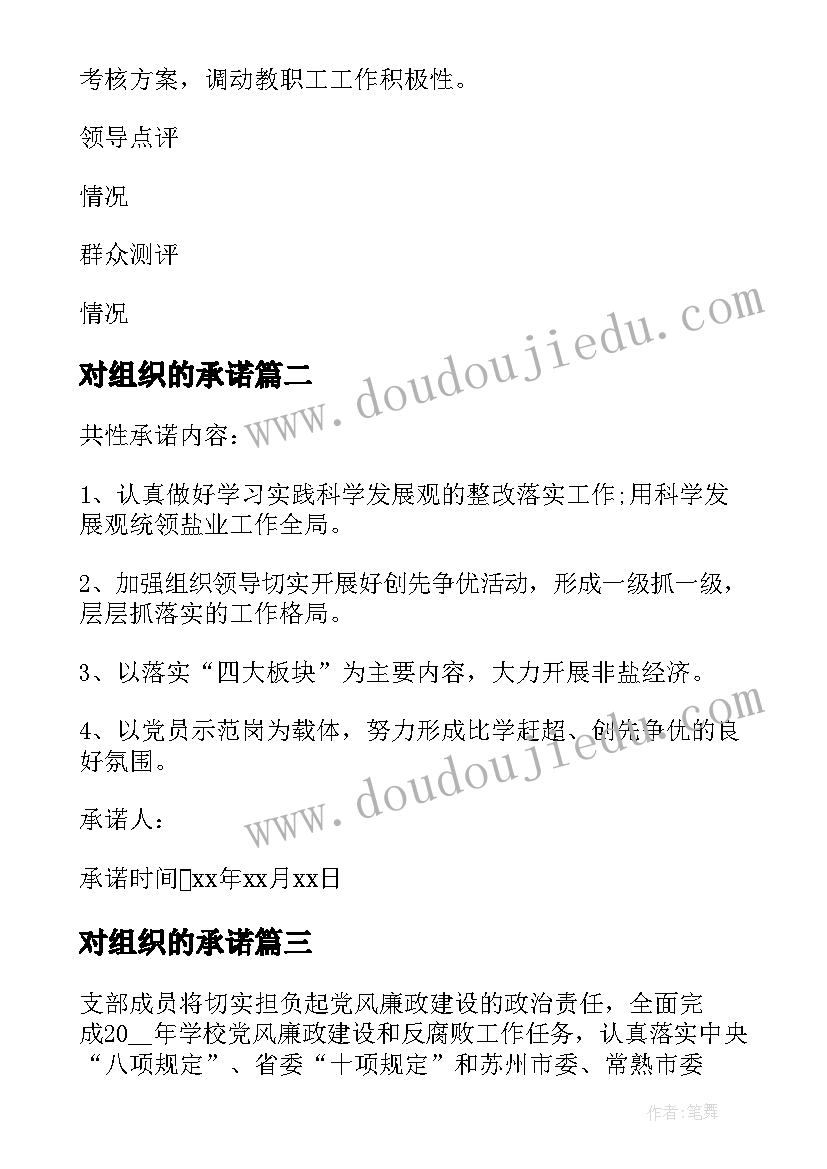 2023年对组织的承诺 党组织承诺书(通用7篇)