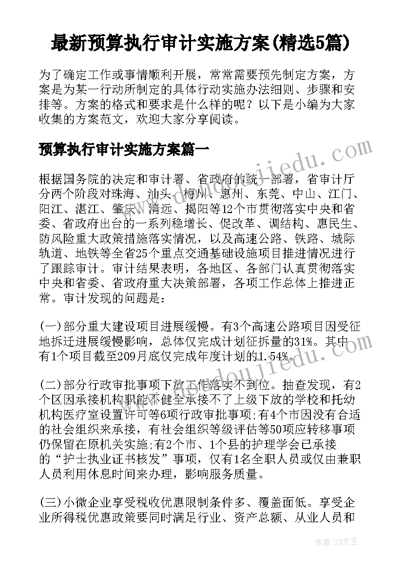 最新预算执行审计实施方案(精选5篇)