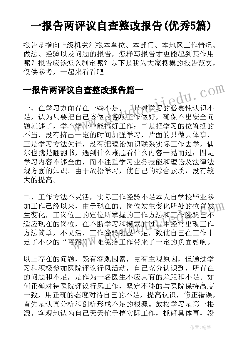 一报告两评议自查整改报告(优秀5篇)