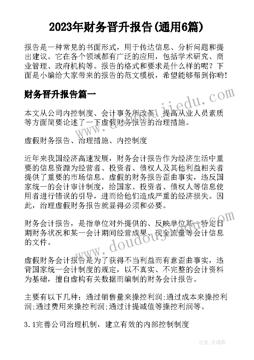 2023年财务晋升报告(通用6篇)