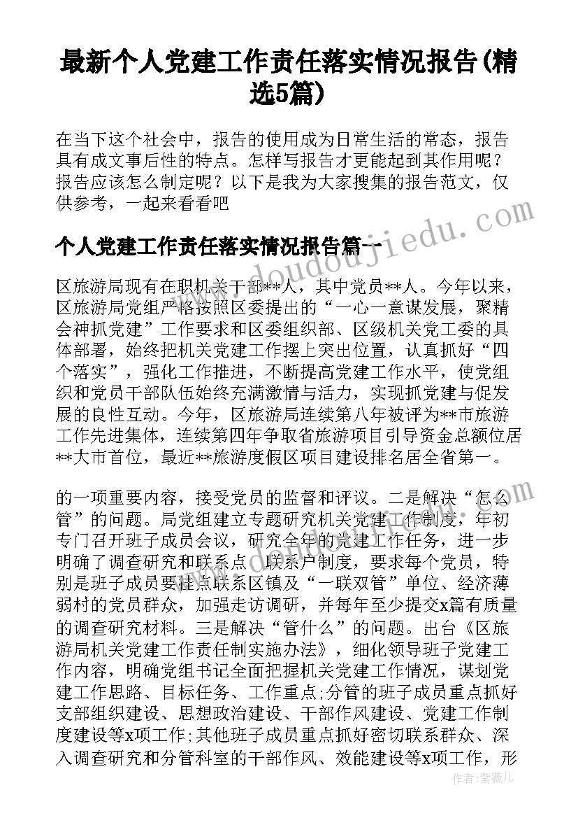 最新个人党建工作责任落实情况报告(精选5篇)