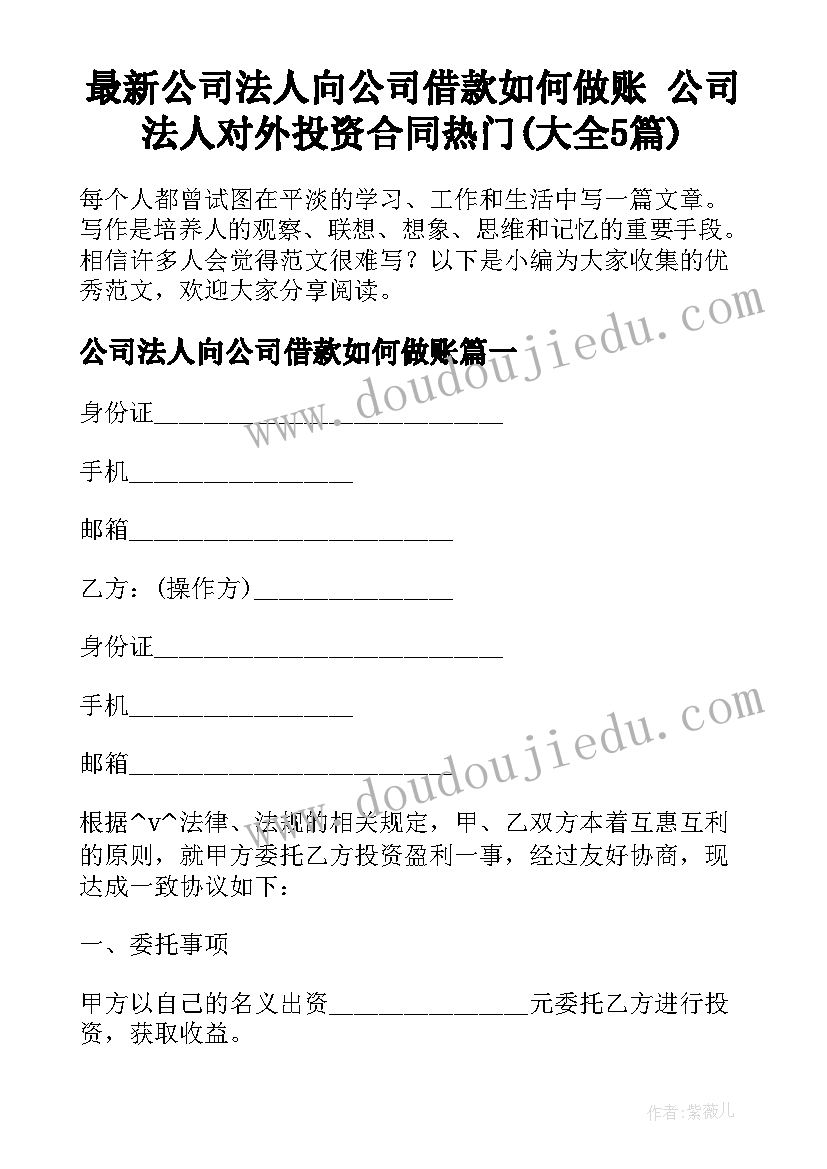 最新公司法人向公司借款如何做账 公司法人对外投资合同热门(大全5篇)