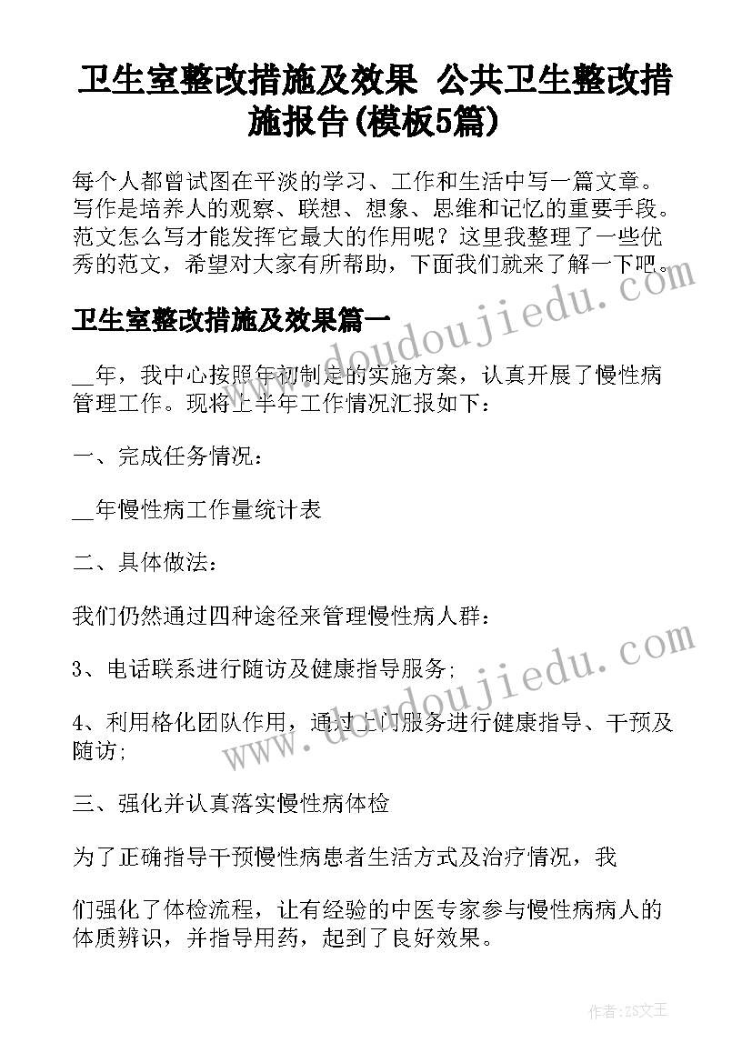 卫生室整改措施及效果 公共卫生整改措施报告(模板5篇)