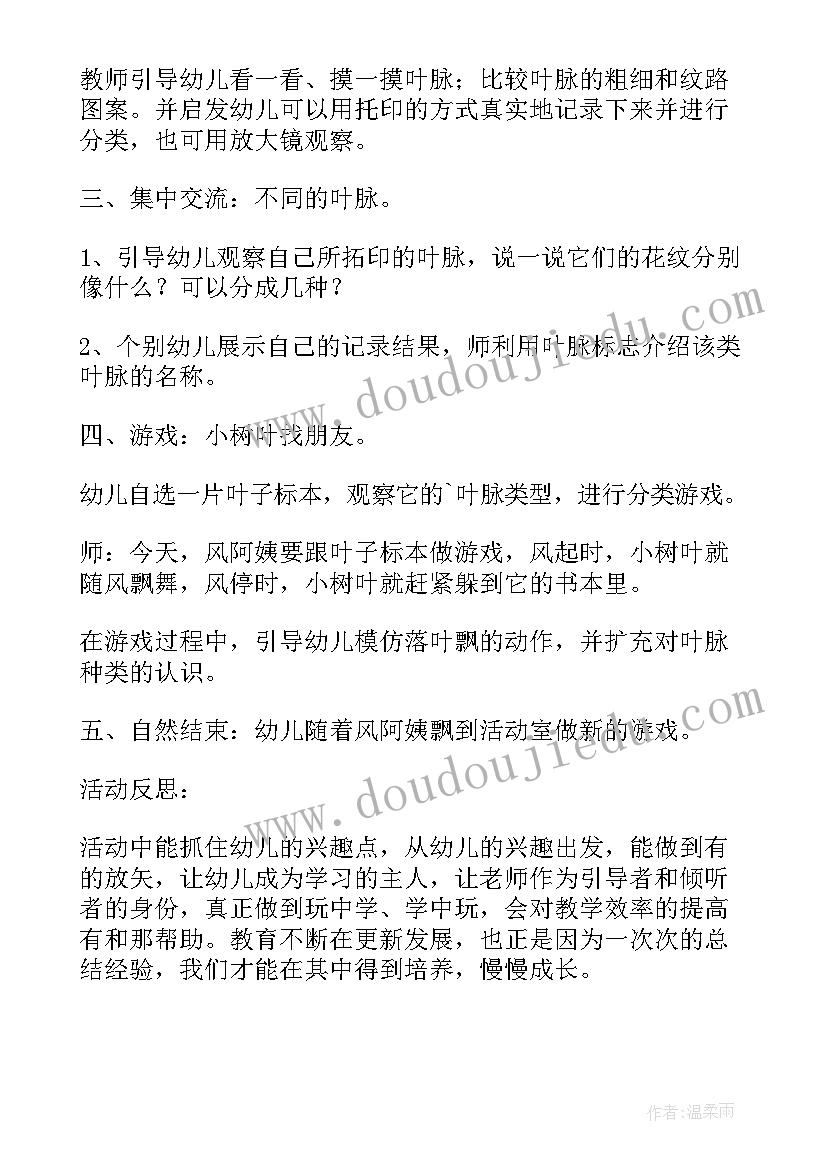 最新中班艺术创意吹画教案反思(通用5篇)