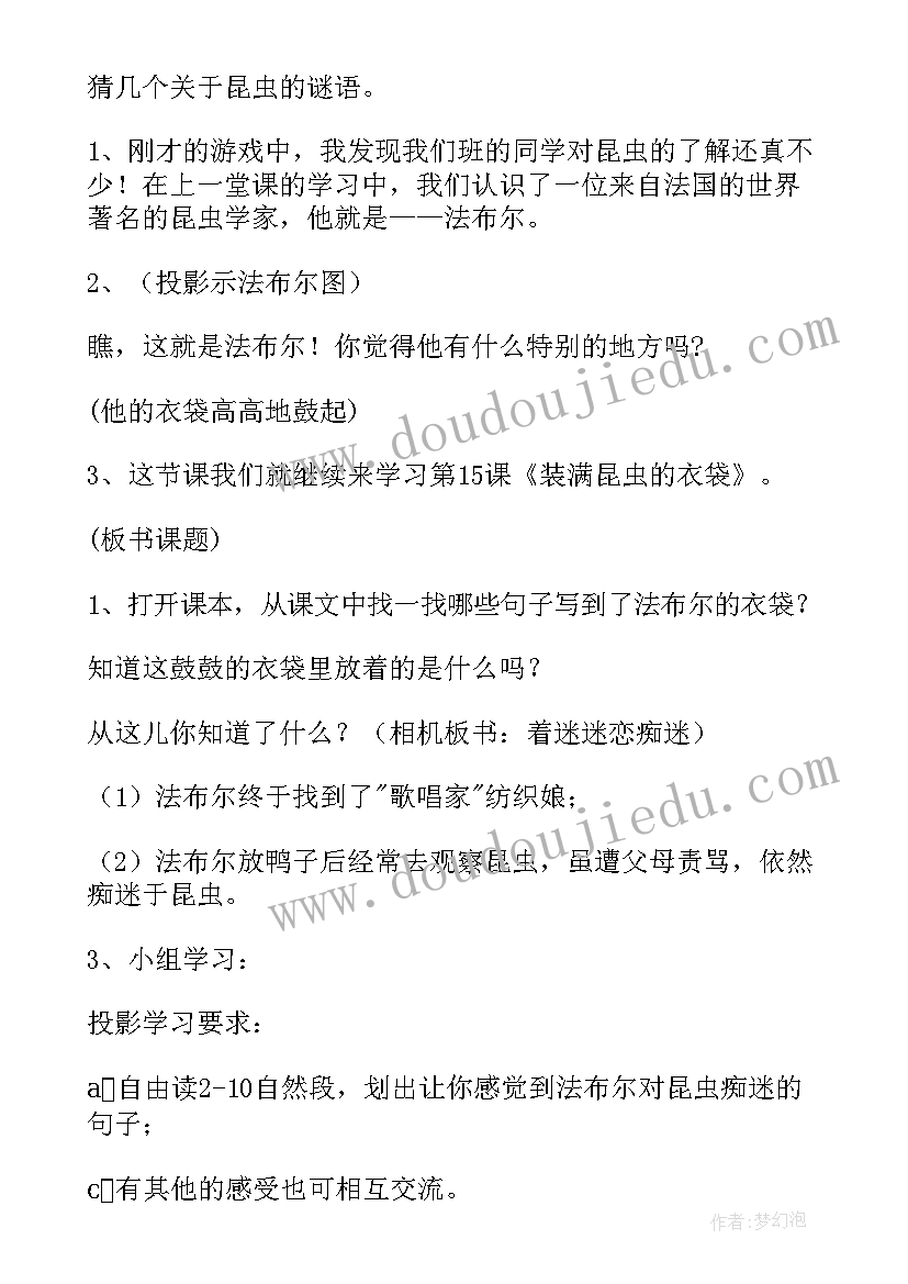 活动昆虫找家 装满昆虫的衣袋教学反思(精选5篇)