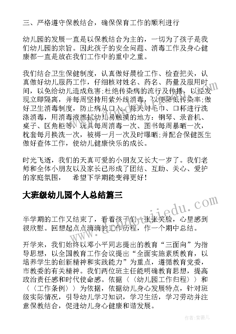 大班级幼儿园个人总结(汇总6篇)