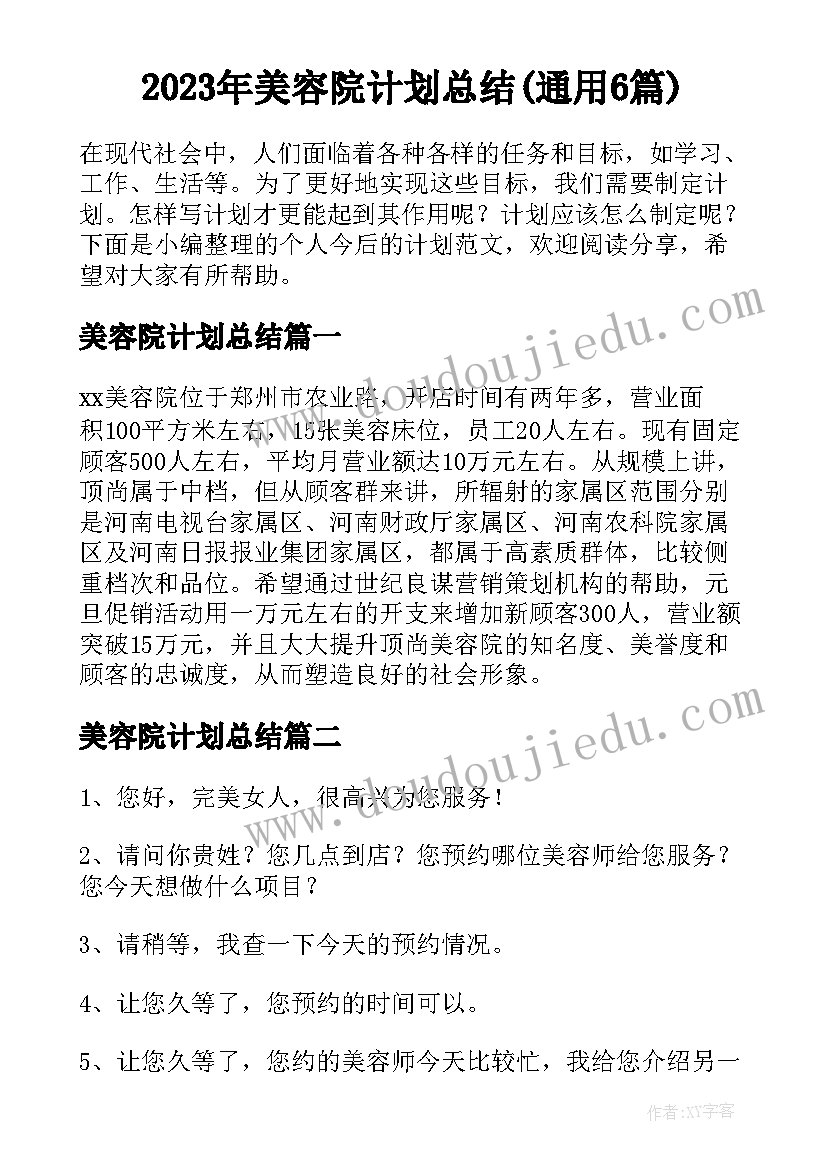 2023年美容院计划总结(通用6篇)