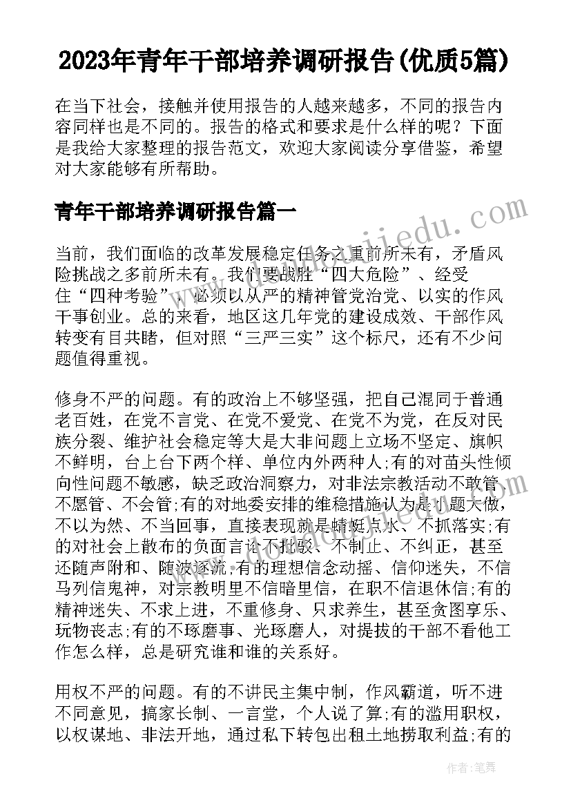 2023年青年干部培养调研报告(优质5篇)