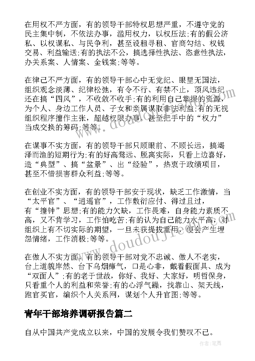 2023年青年干部培养调研报告(优质5篇)