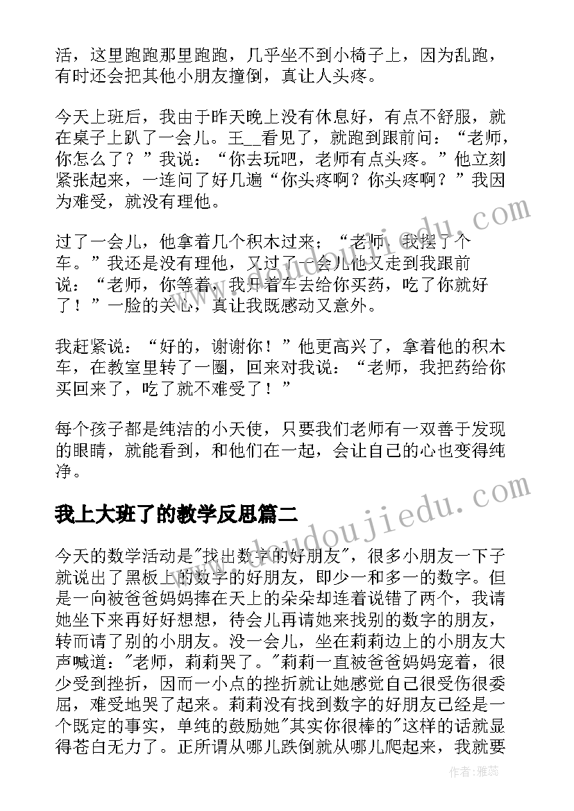 最新我上大班了的教学反思 大班教学反思(精选5篇)