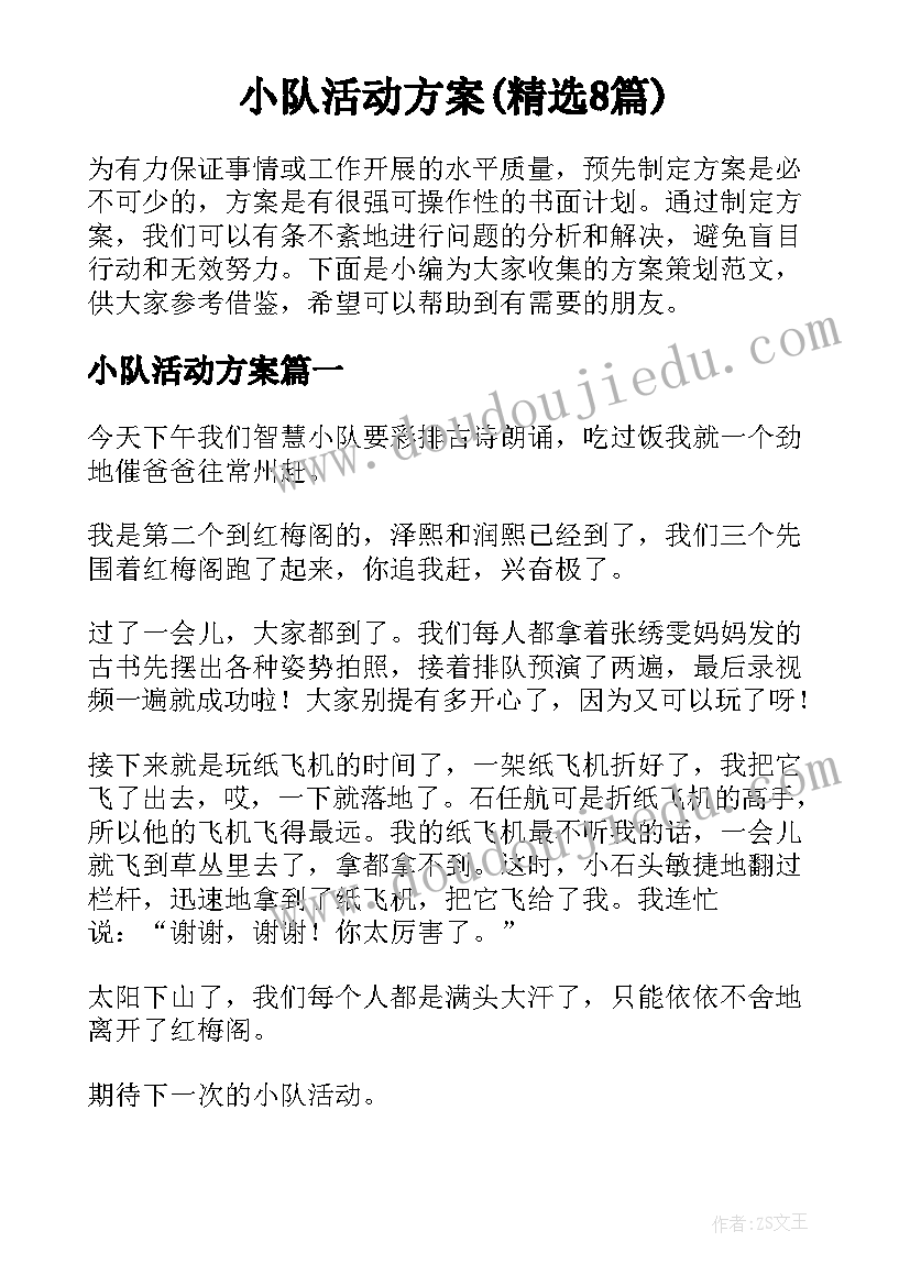 小队活动方案(精选8篇)