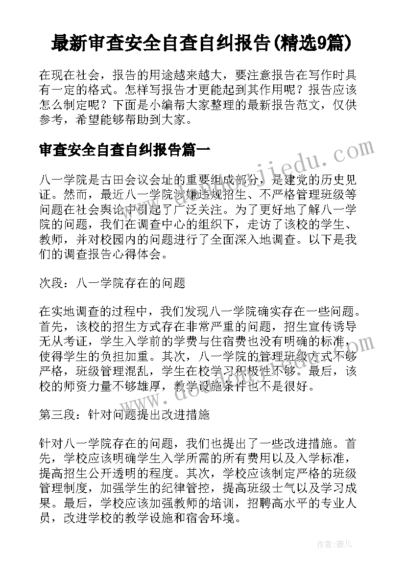 最新审查安全自查自纠报告(精选9篇)