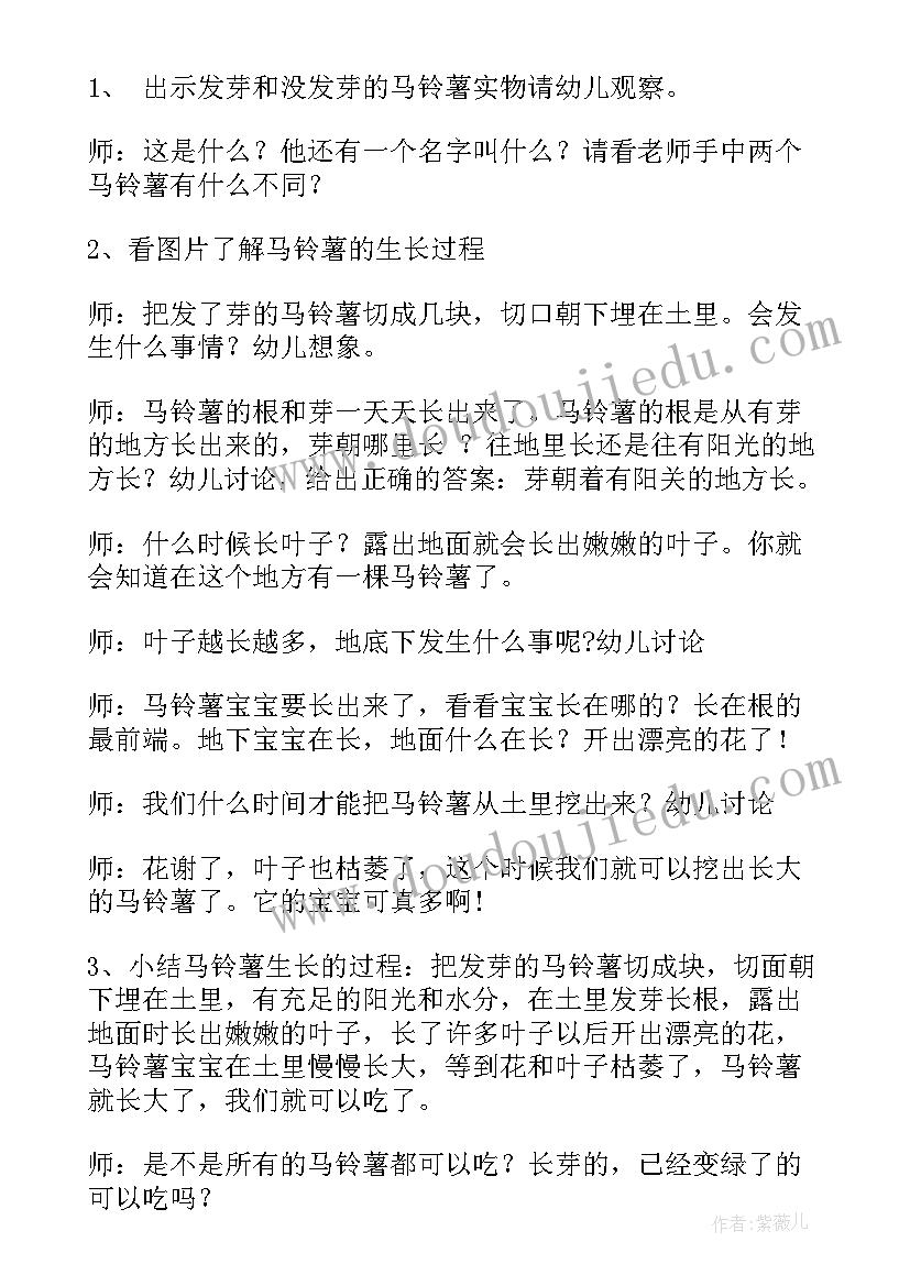 小小的苔藓科学教案(模板6篇)