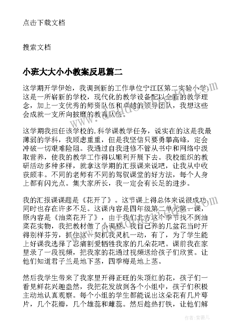 最新小班大大小小教案反思 小班教学反思(大全9篇)