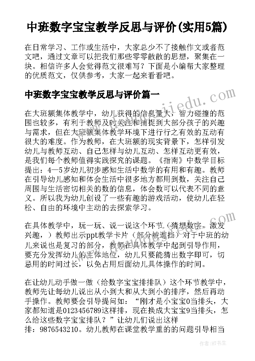 中班数字宝宝教学反思与评价(实用5篇)