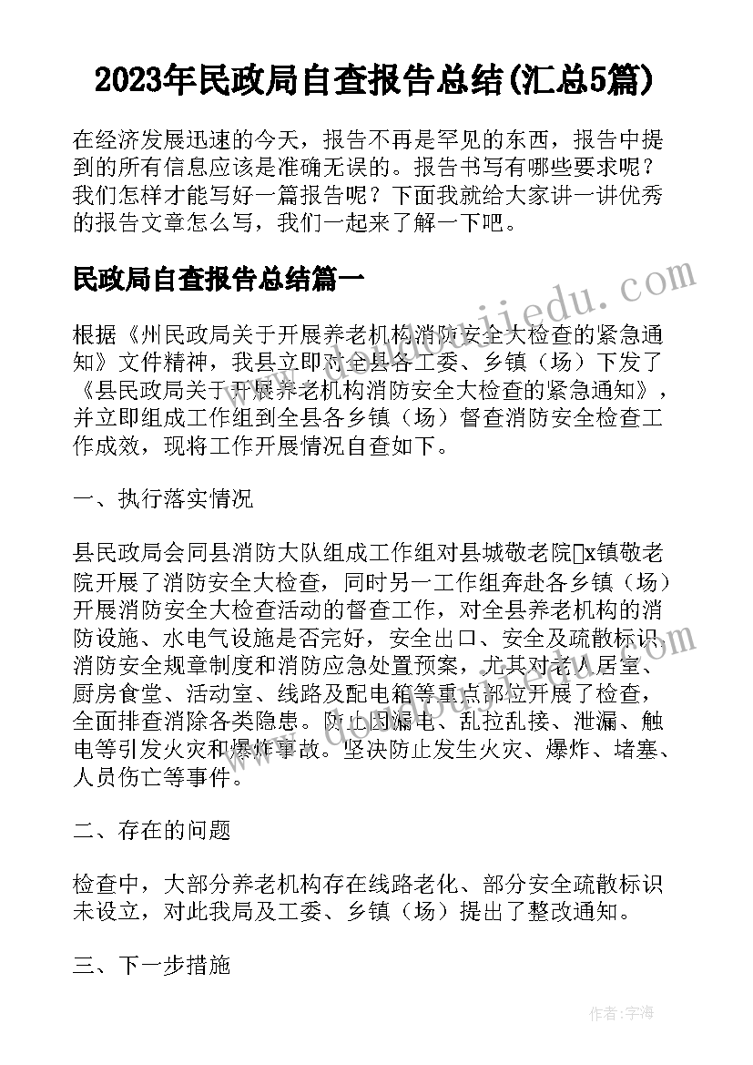 2023年民政局自查报告总结(汇总5篇)