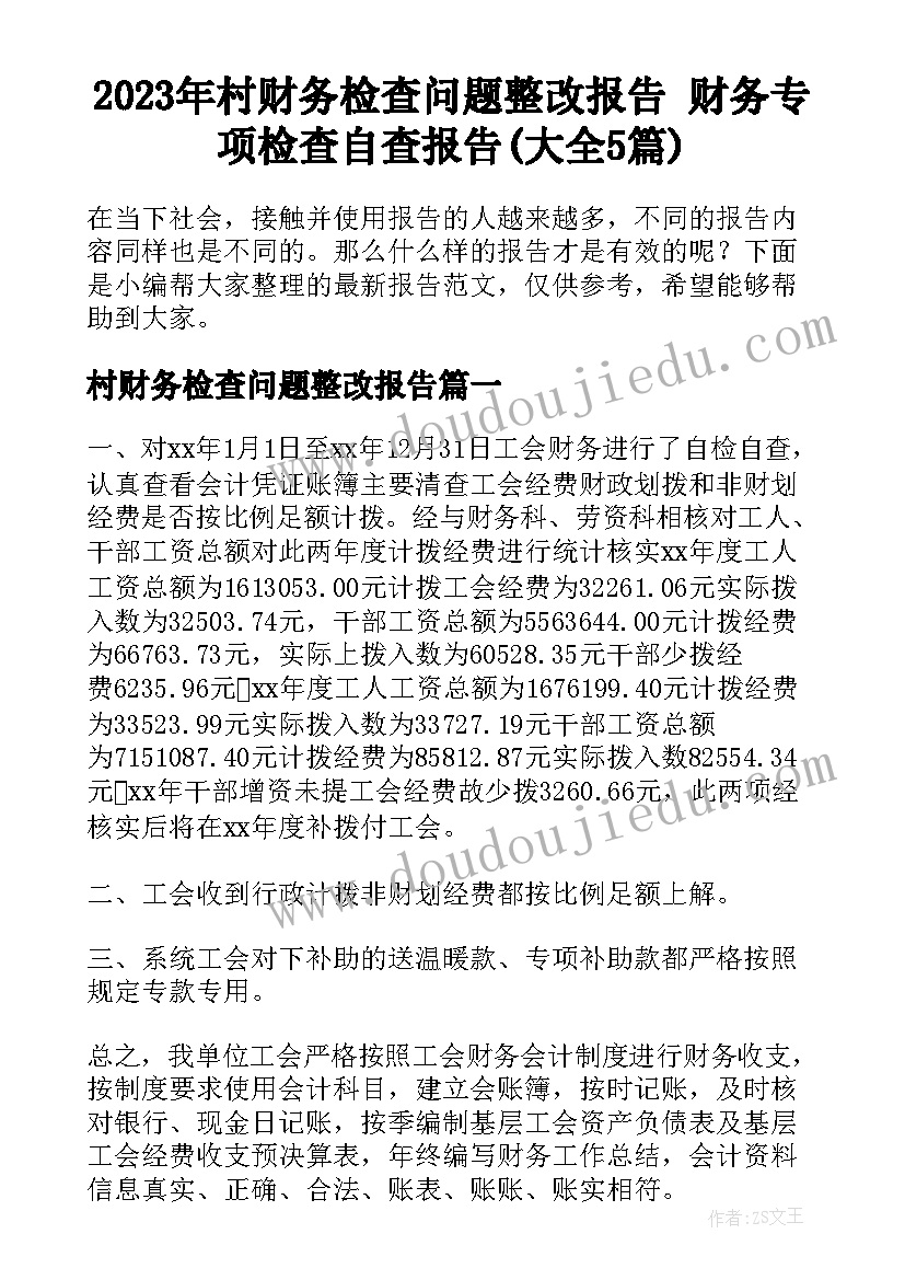 2023年村财务检查问题整改报告 财务专项检查自查报告(大全5篇)