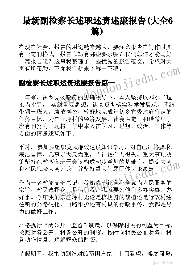 最新副检察长述职述责述廉报告(大全6篇)