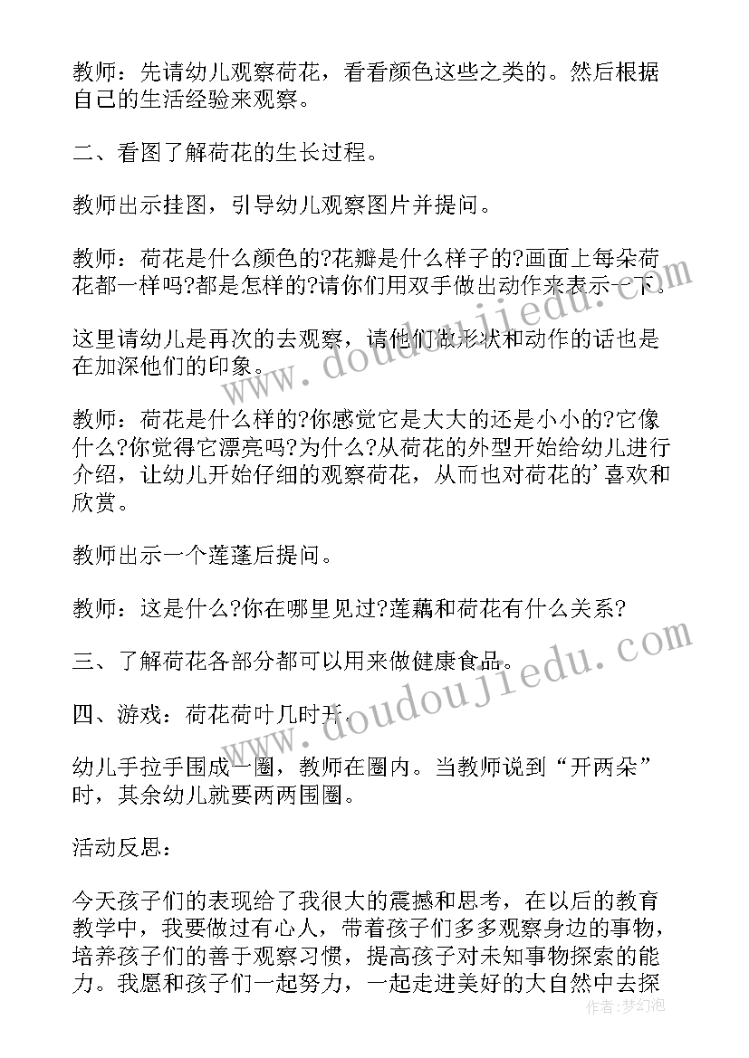 中班科学滚动与滑行教学反思与评价 中班科学教案及教学反思滚动的玩具(大全5篇)