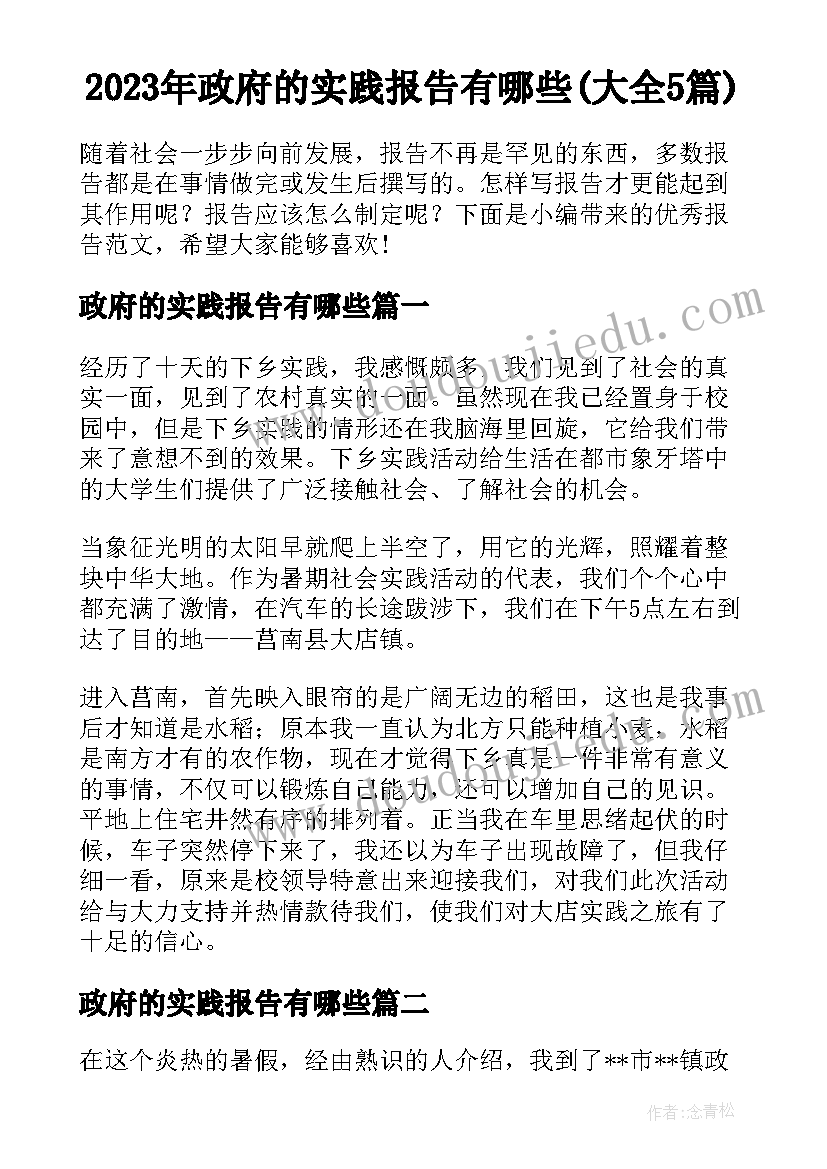 2023年政府的实践报告有哪些(大全5篇)