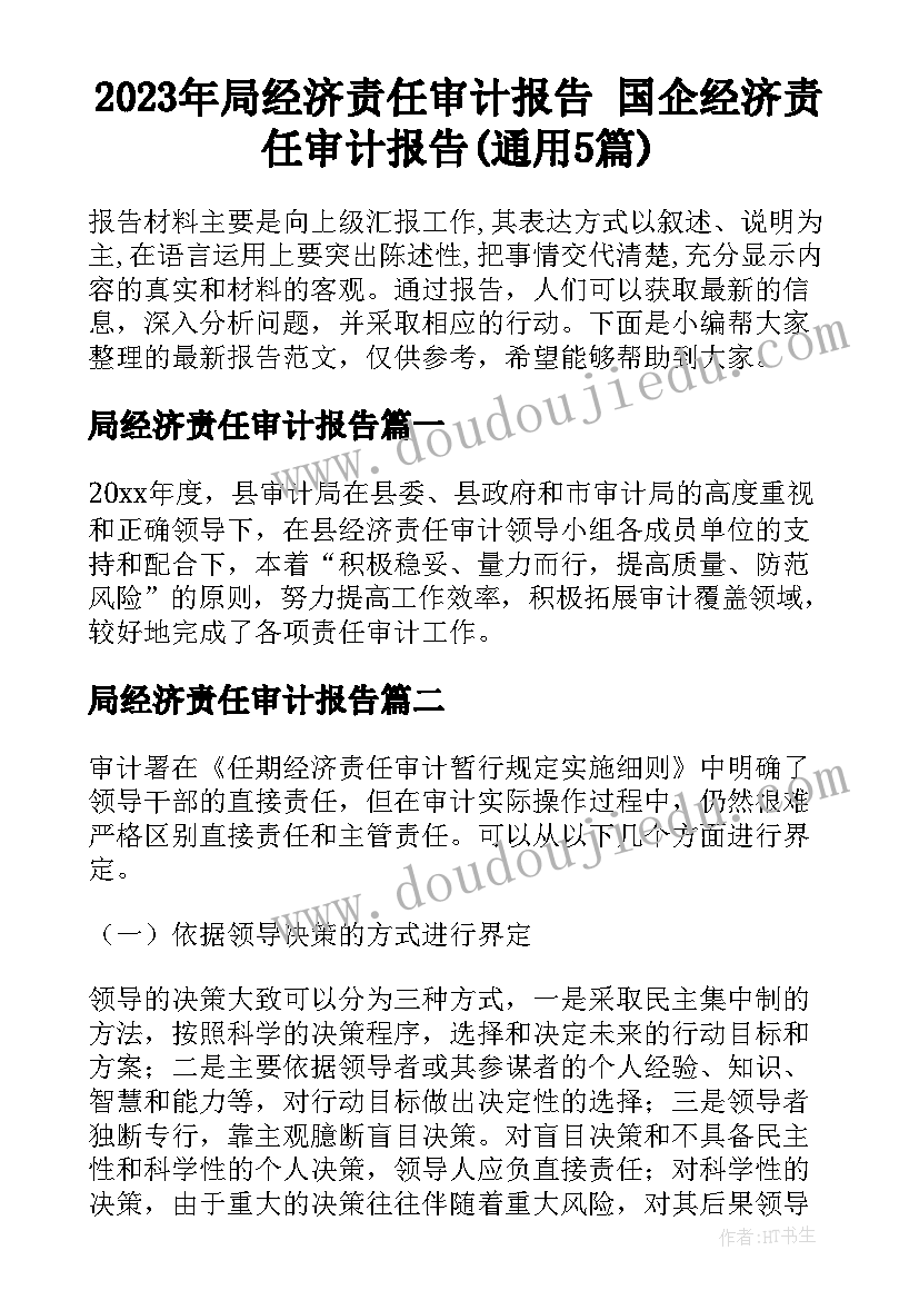 2023年局经济责任审计报告 国企经济责任审计报告(通用5篇)