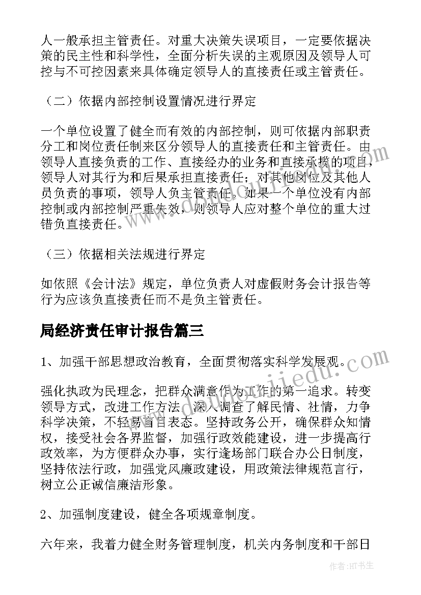 2023年局经济责任审计报告 国企经济责任审计报告(通用5篇)