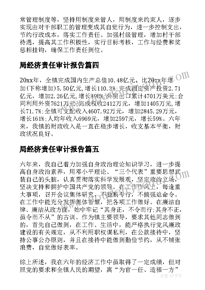 2023年局经济责任审计报告 国企经济责任审计报告(通用5篇)