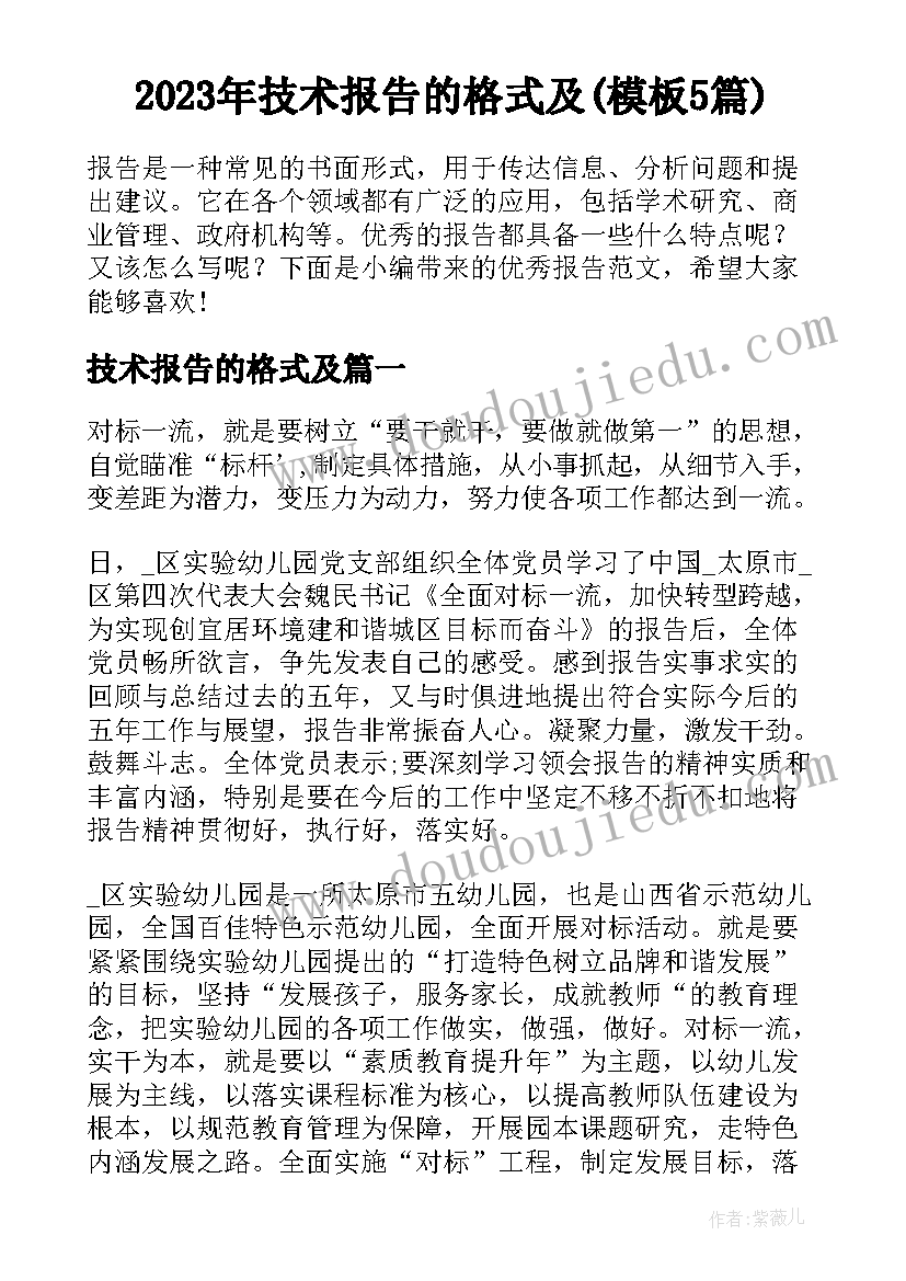 2023年技术报告的格式及(模板5篇)