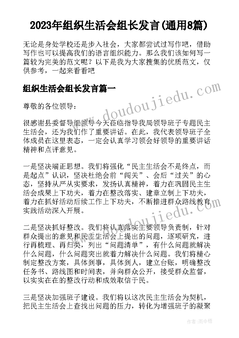 2023年组织生活会组长发言(通用8篇)