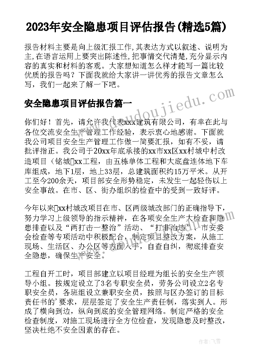 2023年安全隐患项目评估报告(精选5篇)