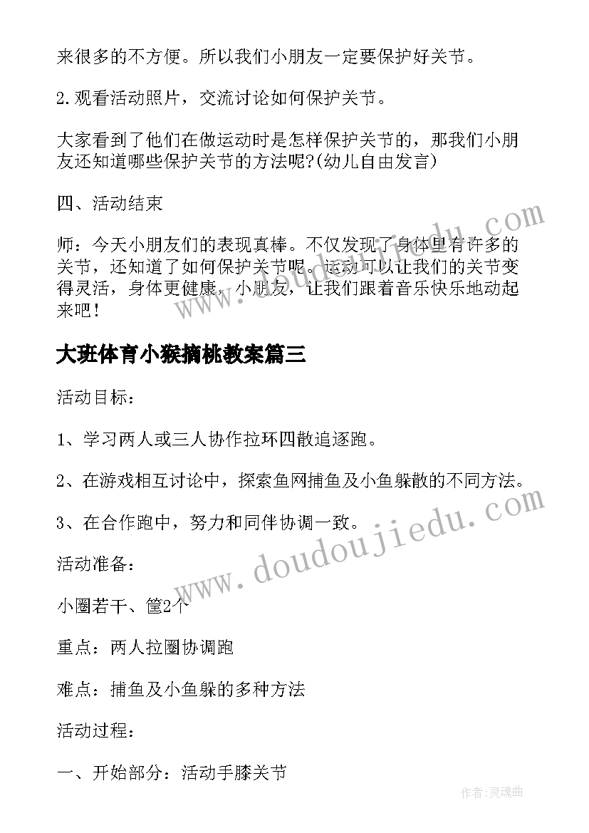 2023年大班体育小猴摘桃教案 大班体育活动教案(优质5篇)