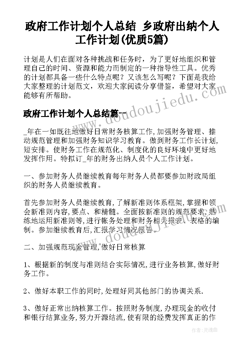 政府工作计划个人总结 乡政府出纳个人工作计划(优质5篇)