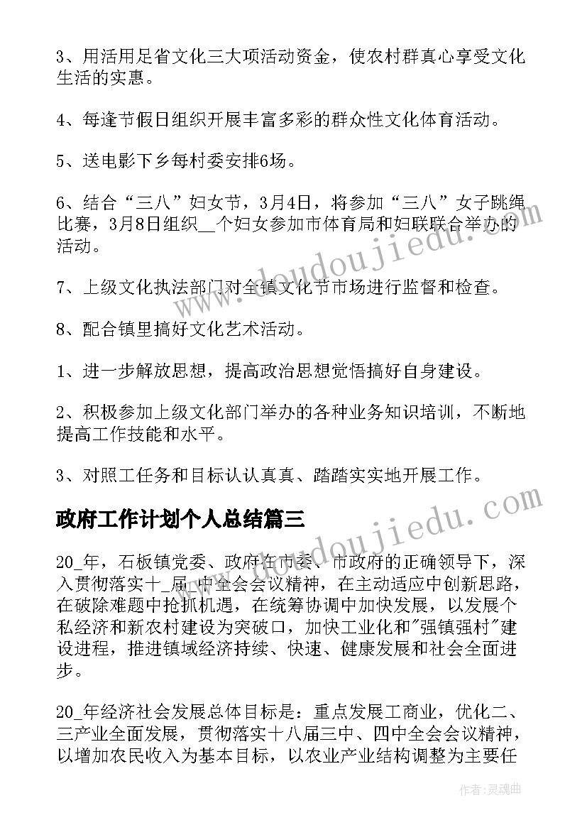 政府工作计划个人总结 乡政府出纳个人工作计划(优质5篇)