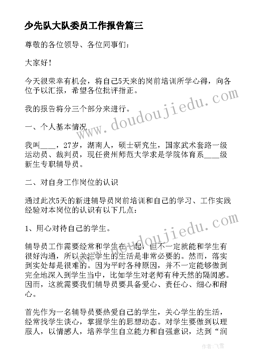 最新少先队大队委员工作报告(大全5篇)