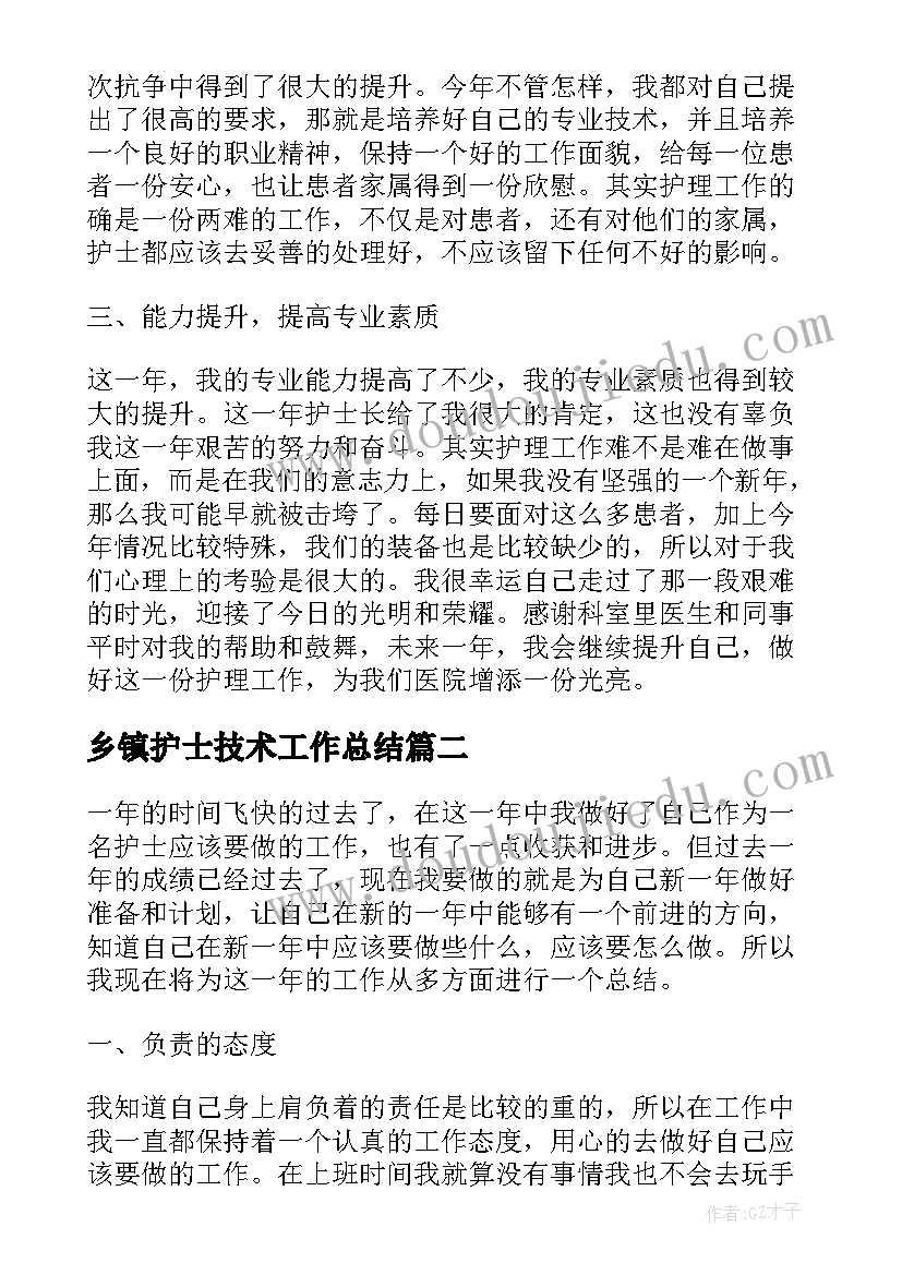 乡镇护士技术工作总结(大全5篇)